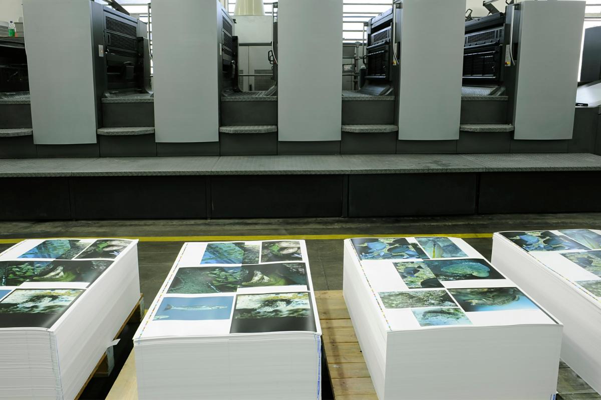 Sustainable Denver Printing Companies Green Denver